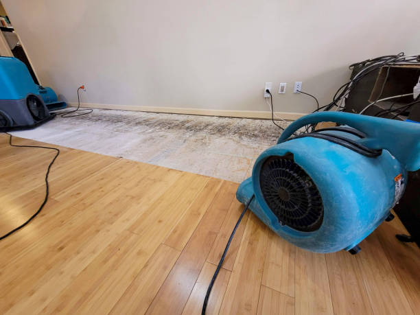 Professional Basement Flood Cleanup technician working in Woodville, OH